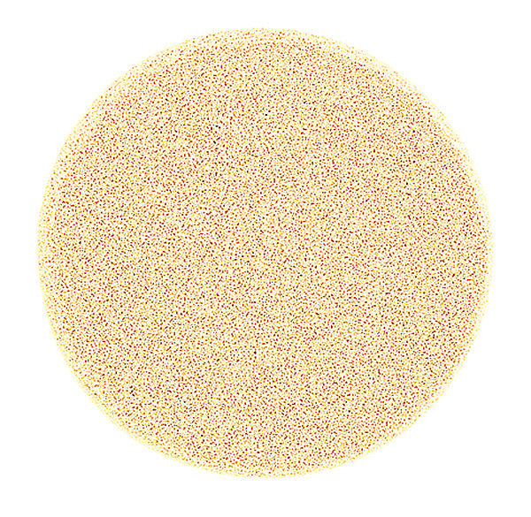 PEGGY SAGE SPUGNA TRUCCO LATTICE X 2