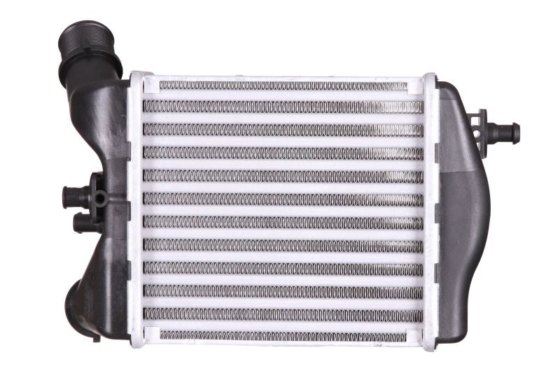 Intercooler Compatibile Per Fiat Abarth 500 / Abarth 595 / Abarth 695 BIBA-RICAMBI
