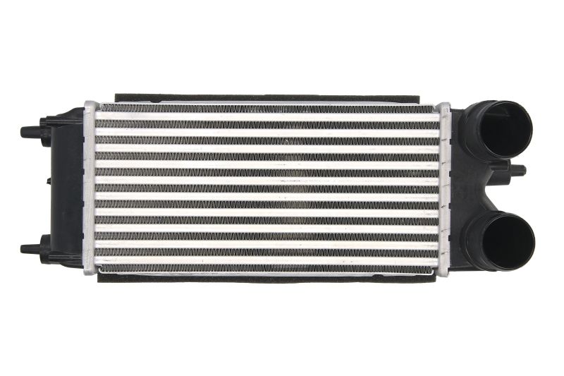 Intercooler Compatibile Per Ford B-Max (JK) / Ecosport / Fiesta VI (CB1) / KA+ III (UK) BIBA-RICAMBI