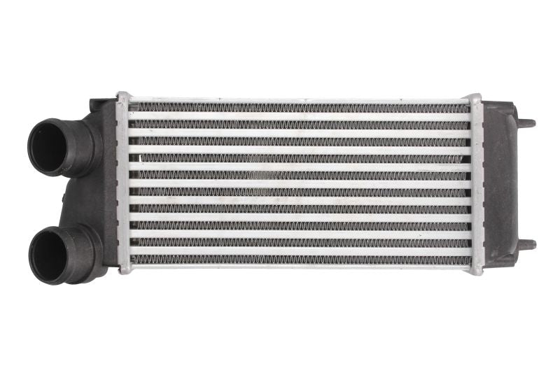 Intercooler Compatibile Per Peugeot 307 (3A/C) / 307 Break (3E) / 307 SW (3H) BIBA-RICAMBI