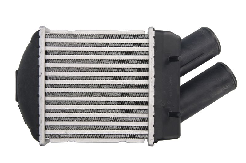 Intercooler Compatibile Per Dacia Logan (LS_) Logan MCV Sandero | Renault Logan I Megane I Megane Scenic I BIBA-RICAMBI