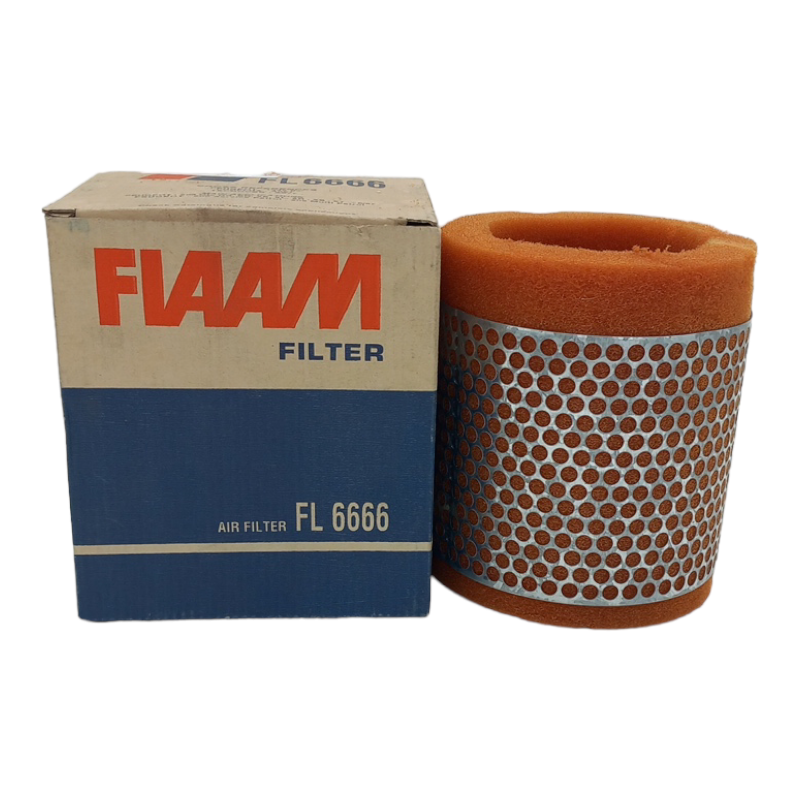 Filtro Aria Motore Fiaam Codice.FL6666 BIBA-RICAMBI
