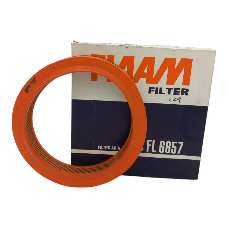 Filtro Aria Motore Fiaam Codice.FL6657 BIBA-RICAMBI