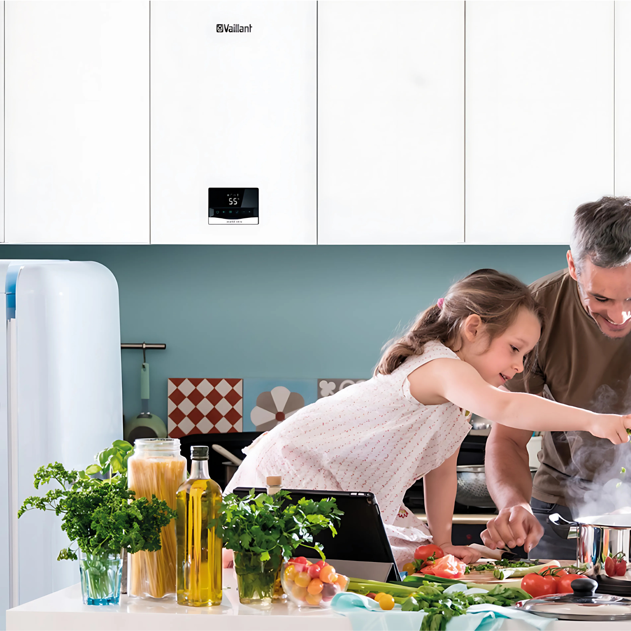 Caldaia Vaillant Ecotec Intro VMW a Condensazione