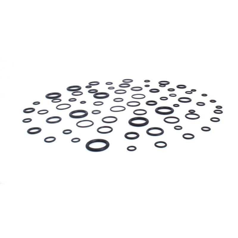 Assortimento per auto include una vasta gamma di guarnizioni O-ring ASTA