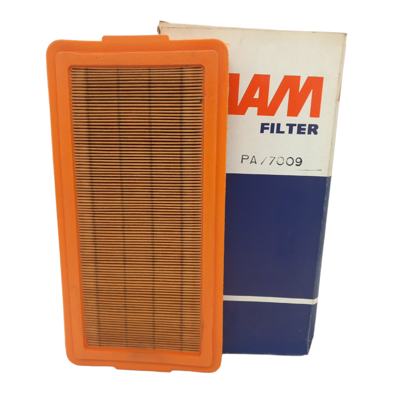 Filtro Aria Motore Fiaam Codice.PA/7009 BIBA-RICAMBI