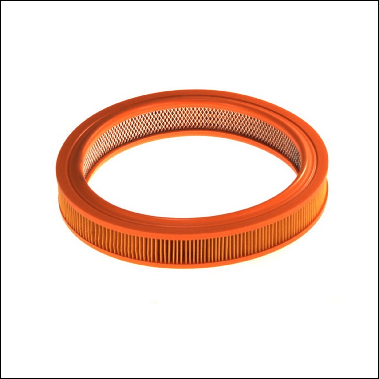 A. FILTRO ARIA MOTORE art.6425 BIBA-RICAMBI