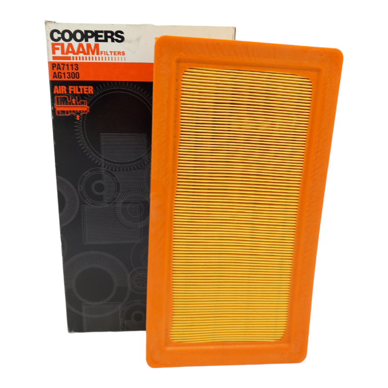 Filtro Aria Motore Fiaam Filters Codice.PA7113 BIBA-RICAMBI