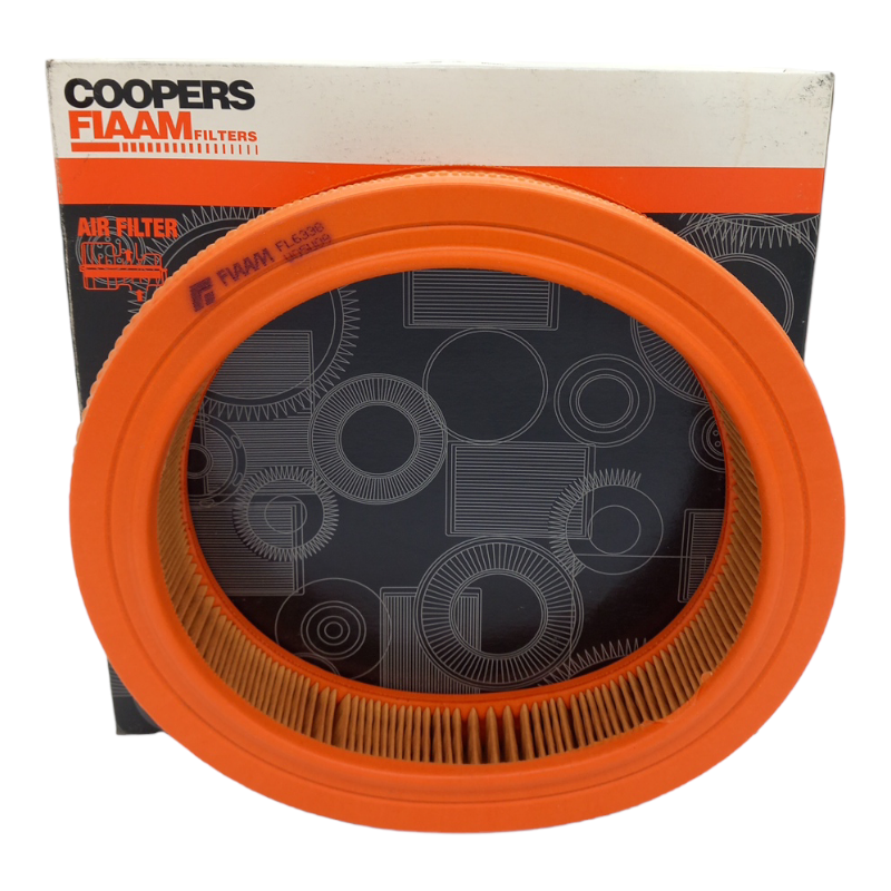 Filtro Aria Motore Fiaam Filter Codice.FL6338 BIBA-RICAMBI