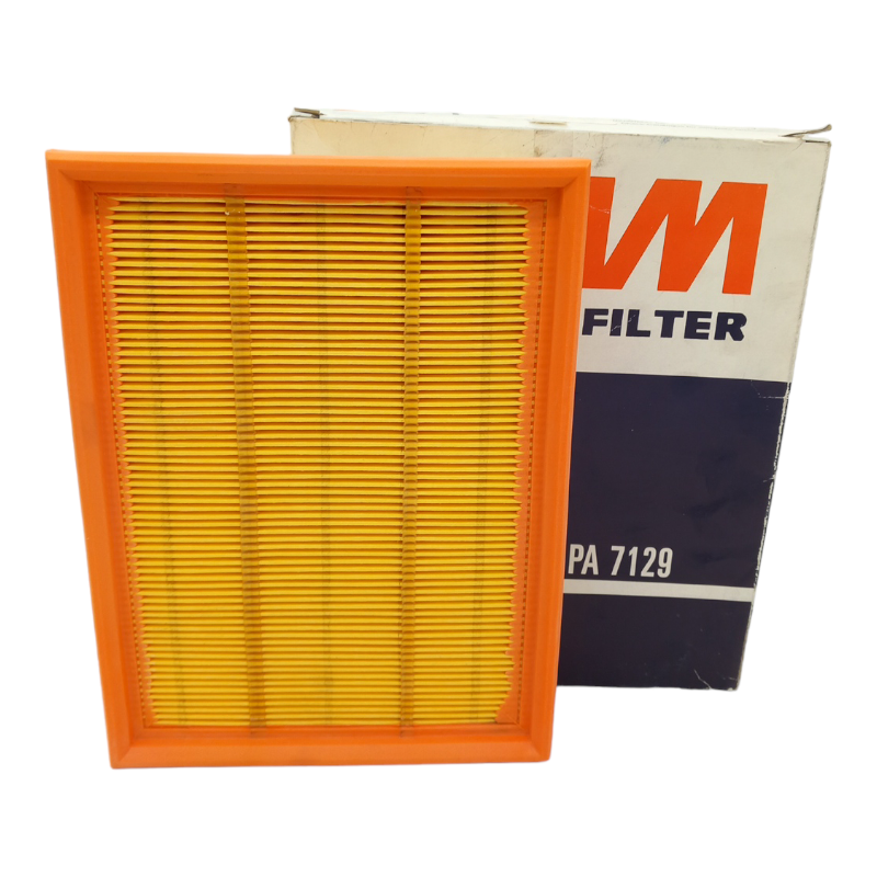 Filtro Aria Motore Fiaam Filter Codice.PA 7129 BIBA-RICAMBI