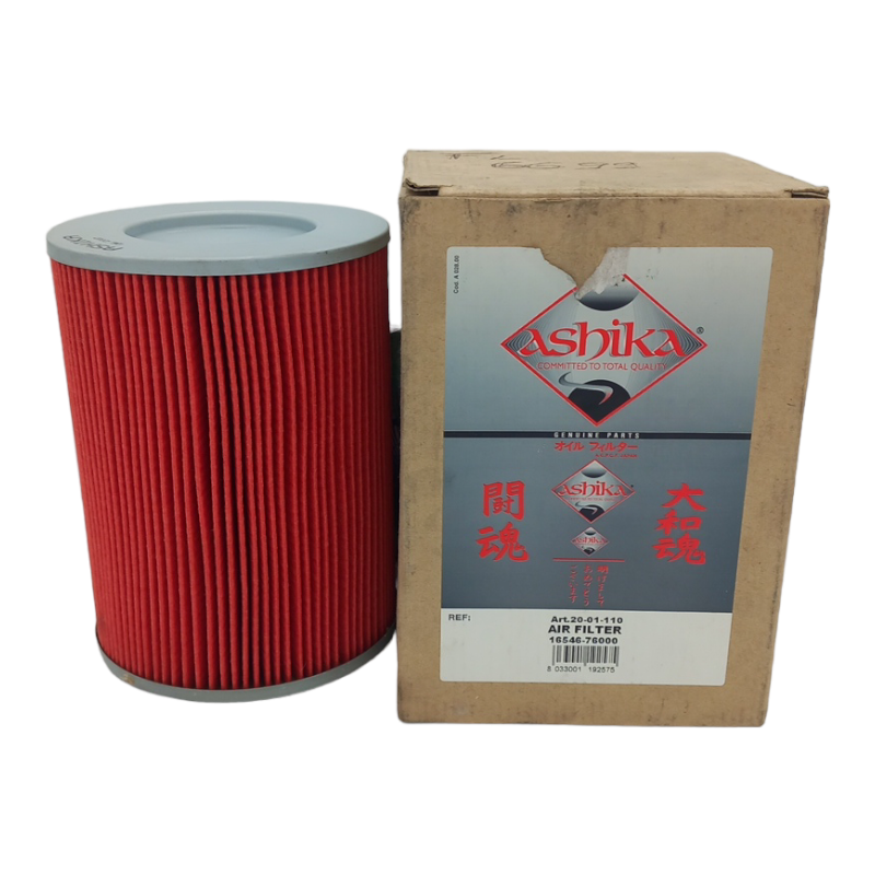Filtro Aria Motore Ashika Codice.20-01-110 BIBA-RICAMBI