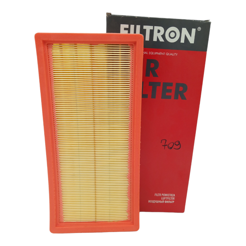 Filtro Aria Motore Filtron Codice.AP 022/3 BIBA-RICAMBI