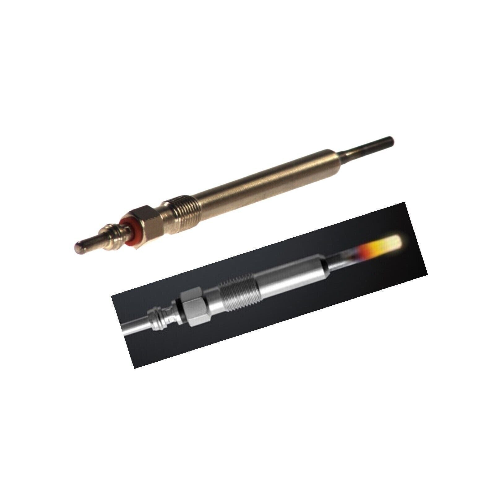 Candeletta Diesel (5V) Compatibile Per Audi A4 B6 (8E) 1.9 TDI 85KW | Motore. BKE BIBA-RICAMBI