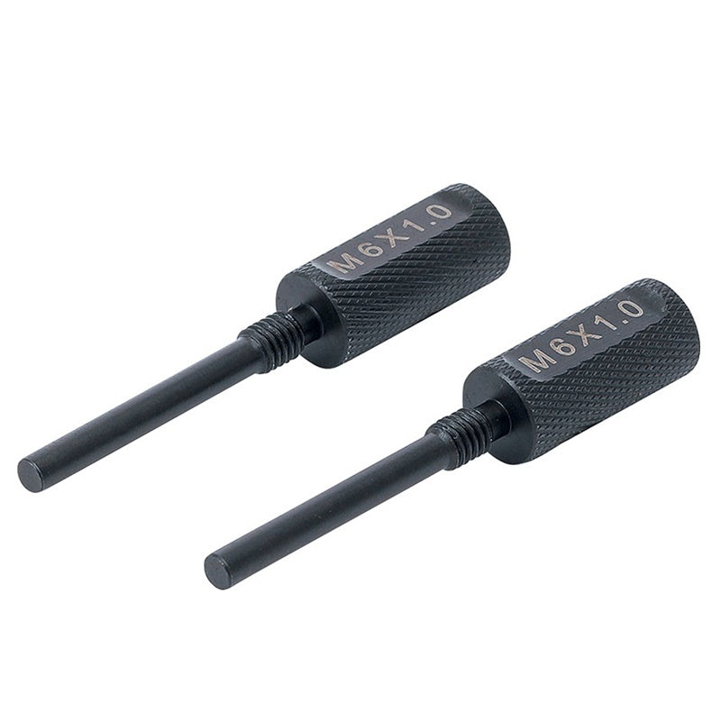 Set 2 Pezzi Perni di Bloccaggio Albero a Camme per Ducati BGS6721 BIBA-RICAMBI