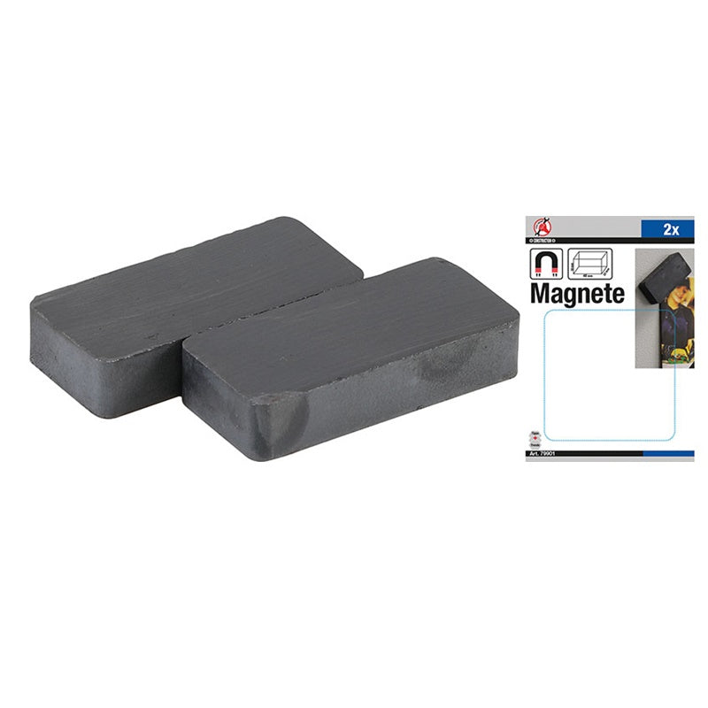 Set 2 Pezzi Magneti Ceramici art.BGS79901 BIBA-RICAMBI