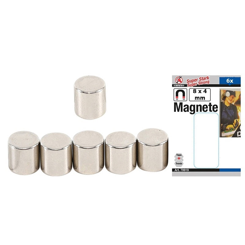 Set 6 Pezzi Magneti Diametro 8mm Spessore 4mm art.BGS79907 BIBA-RICAMBI