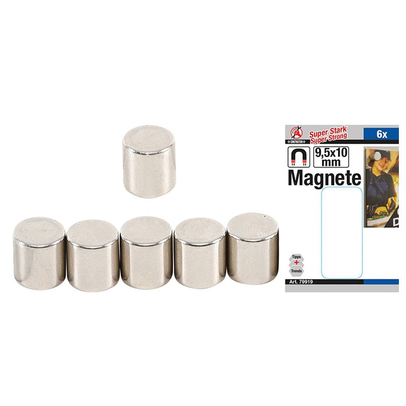 Set 6 Pezzi Magneti Diametro 9.5mm Spessore 10mm art.BGS79919 BIBA-RICAMBI