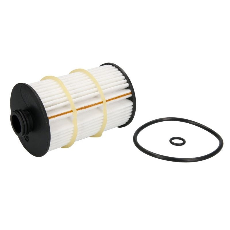 A. Filtro Olio Motore art.7585 BIBA-RICAMBI