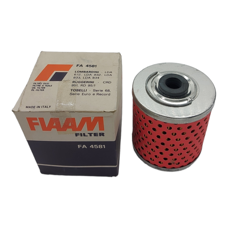Filtro Olio Fiaam Filter FA 4581 BIBA-RICAMBI