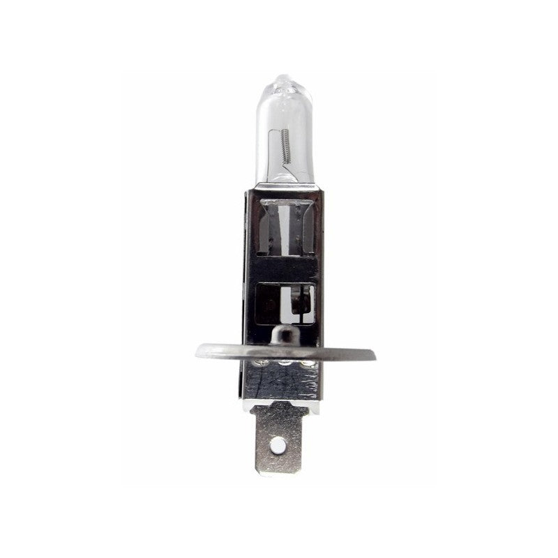 10 LAMPADE H1 12V 55W P14,5S (10pzz) BIBA-RICAMBI