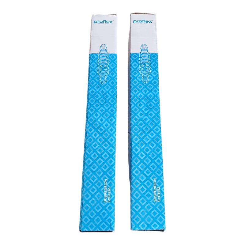 Ammortizzatori Posteriori art.269-G BIBA-RICAMBI