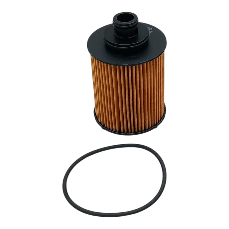 OE682 | WL7429 | FE26365 | OX418D | HU 712/7 X | S5031PE | E107H D166 | PX L377 | ADK82106 ASHIKA