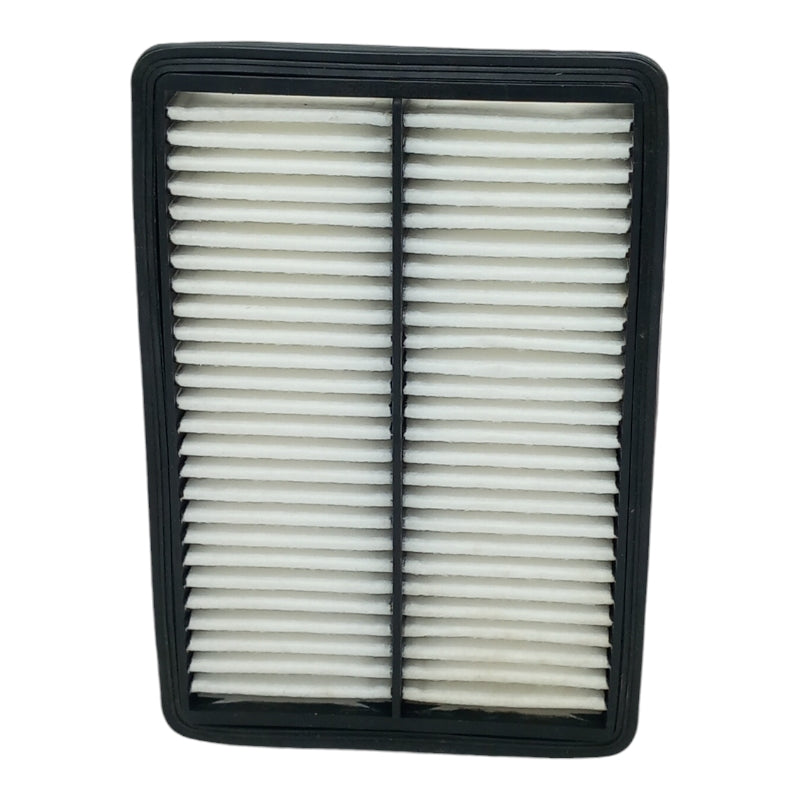 250 X 174 X 43 Filtro Aria Motore ASHIKA