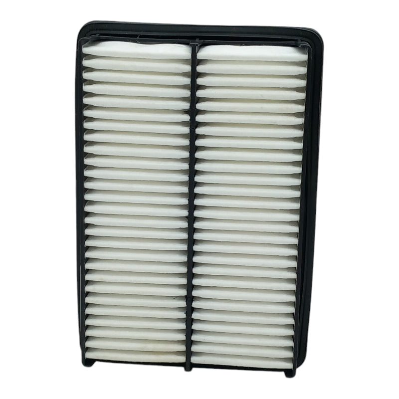 250 X 174 X 43 Filtro Aria Motore ASHIKA