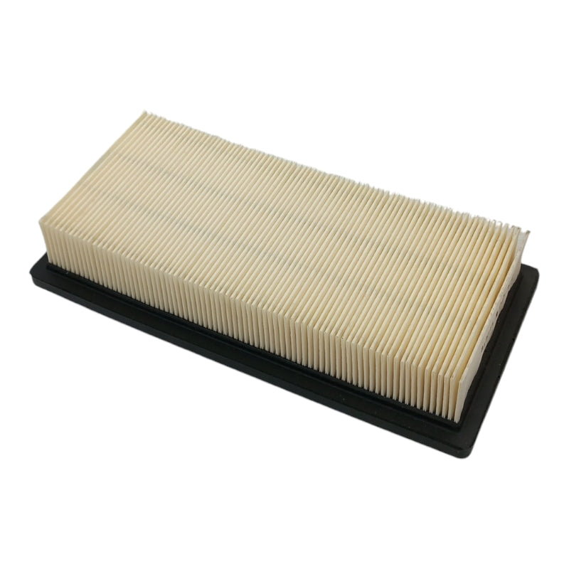 259 X 125 X 47 Filtro Aria Motore ASHIKA