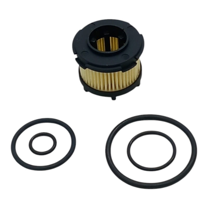 Filtro Per Valvola Impianti Gpl art. GPL-39-KIT BSB