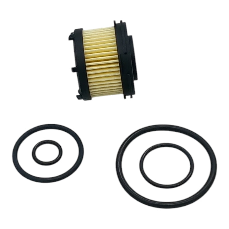 Filtro Per Valvola Impianti Gpl art. GPL-39-KIT BSB