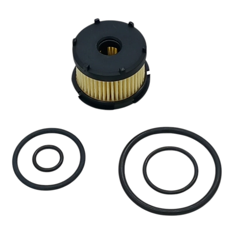 Filtro Per Valvola Impianti Gpl art. GPL-39-KIT BSB