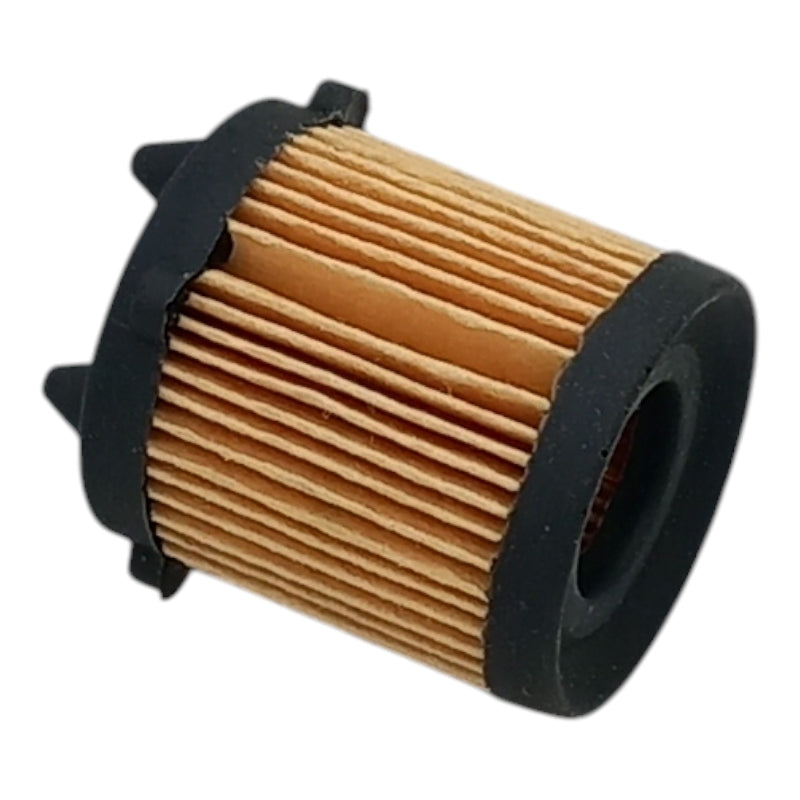 Filtro Per Gpl art. C/60 BIBA-RICAMBI