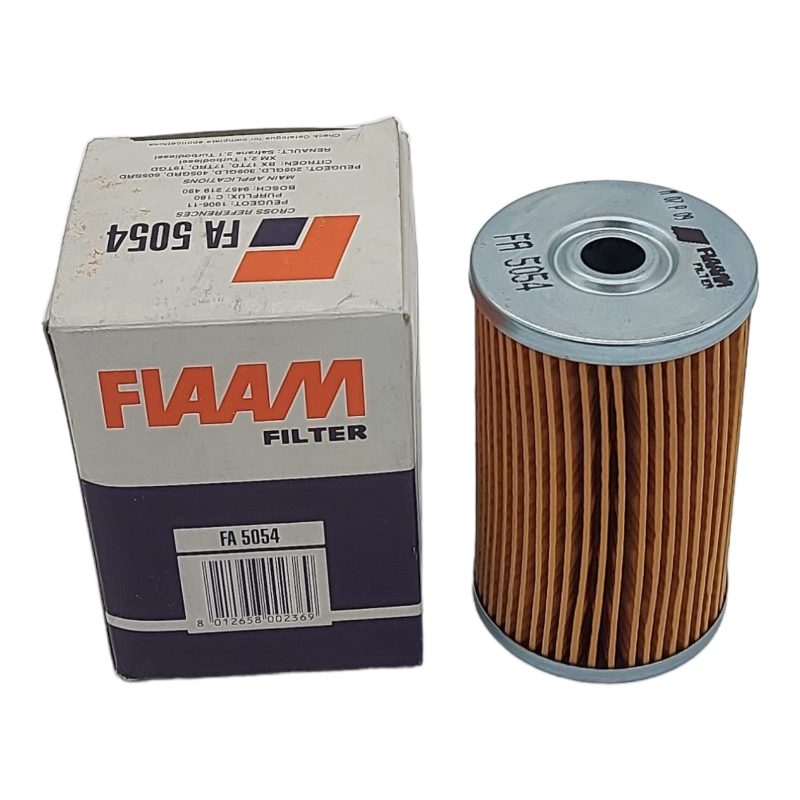 Filtro Carburante Compatibile Per Aro | Citroen | Fso | Peugeot | Renault Fiaam Filter BIBA-RICAMBI