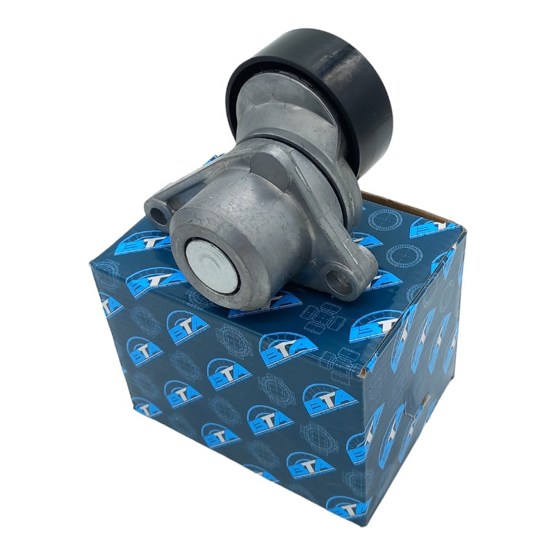 Rullo Cuscinetto Cinghia Servizi Compatibile Per Citroen C3 II (SC) 1.1 44KW-60CV BIBA-RICAMBI