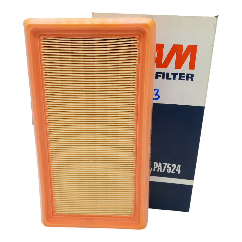 Filtro Aria Motore Fiaam Filter Codice.PA 7524 BIBA-RICAMBI