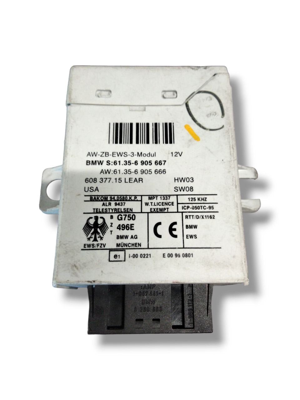 Centralina Immobilizzatore Bmw X5 E53 (1999-2006) cod.6905667 - 6905666