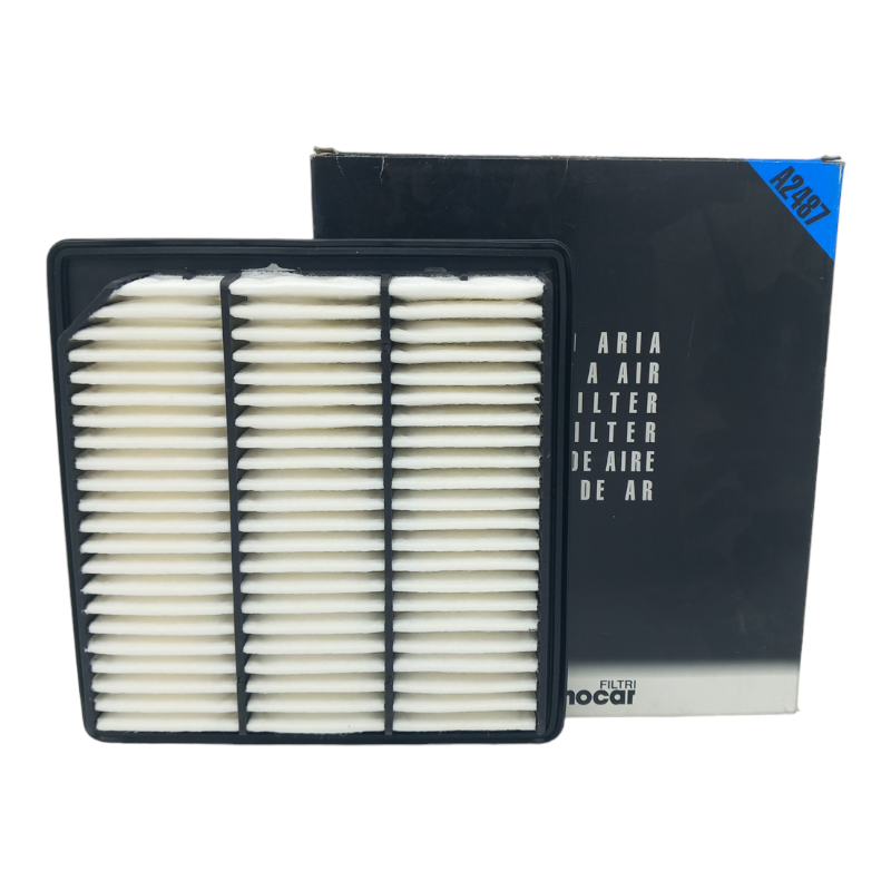Filtro Aria Motore Tecnocar Codice.A2487 BIBA-RICAMBI
