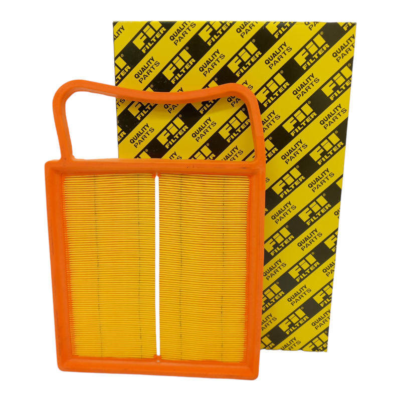 Filtro Aria Motore Fil Filter Codice.HP2204 BIBA-RICAMBI