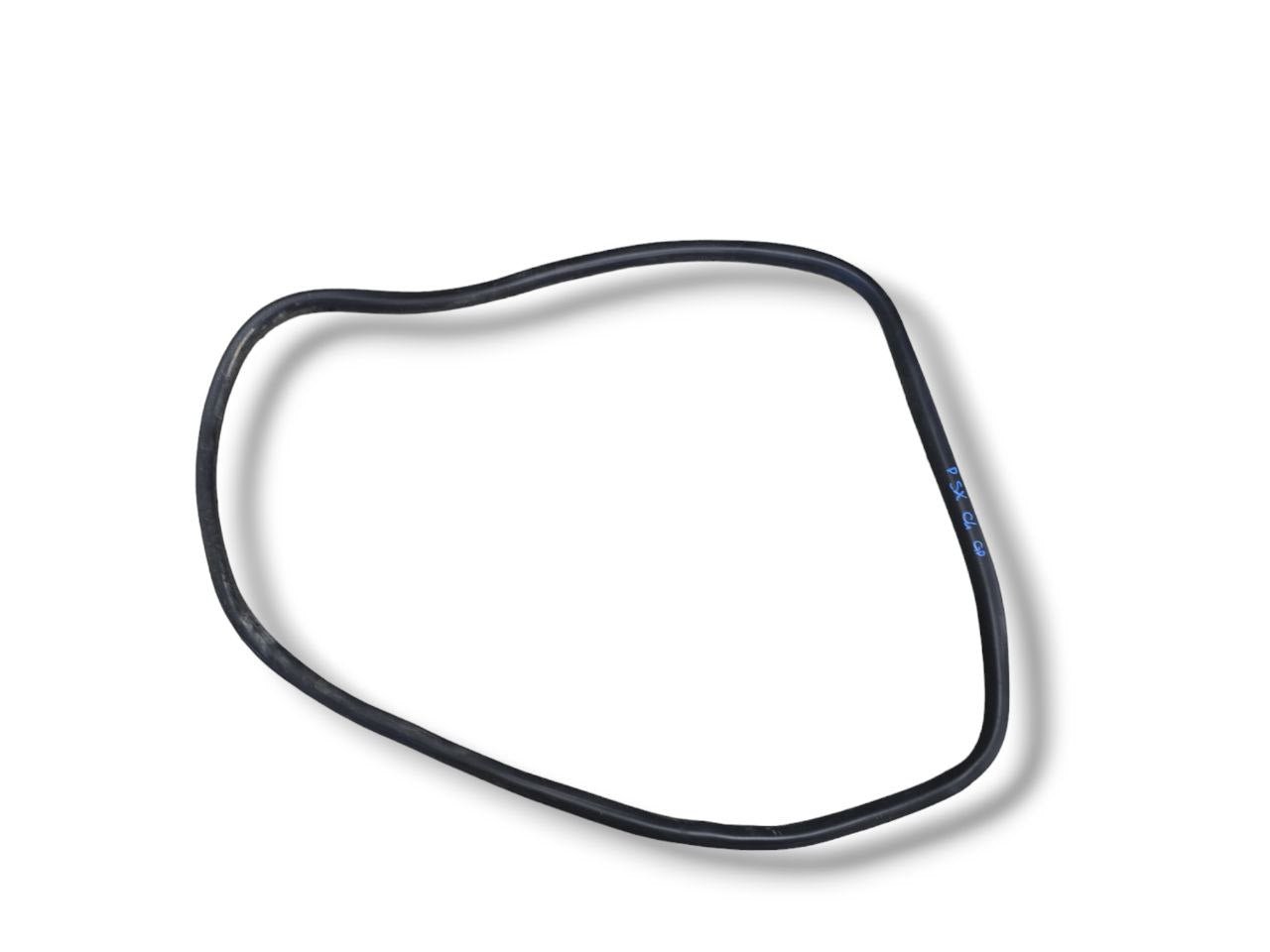 Guarnizione Portiera Posteriore Sinistra Citroen C4 Grand Picasso (2013-2022)