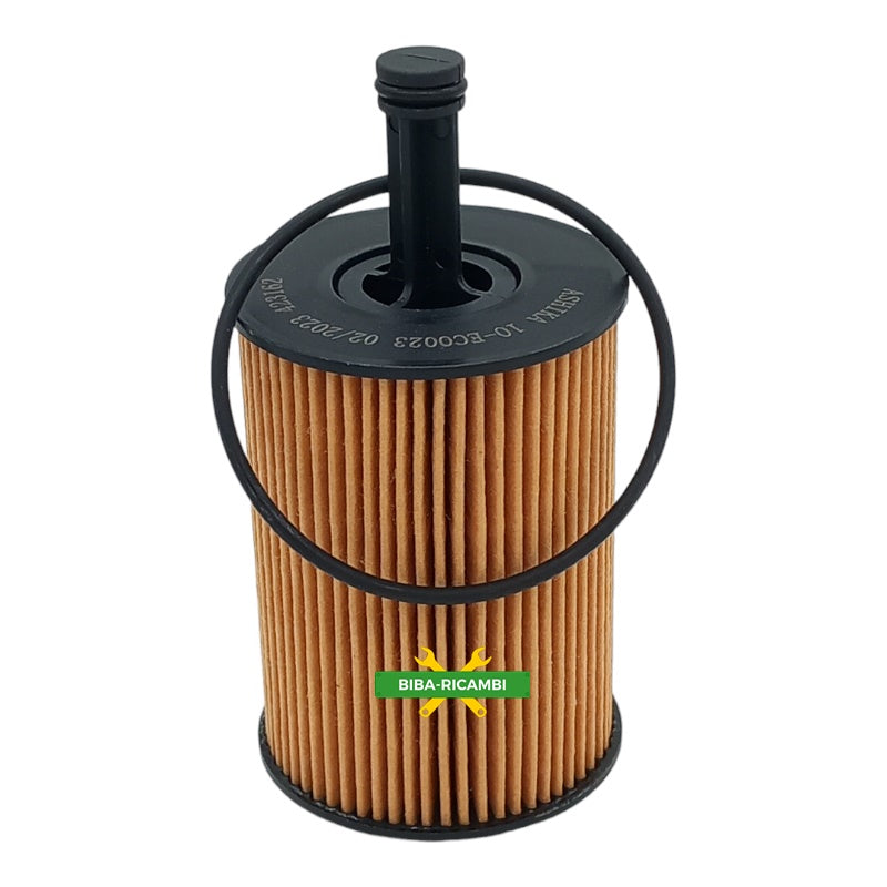 Castrol Tagliando Compatibile Per Audi A3 II (P8) 1.9 TDI | 77KW-105CV BIBA-RICAMBI