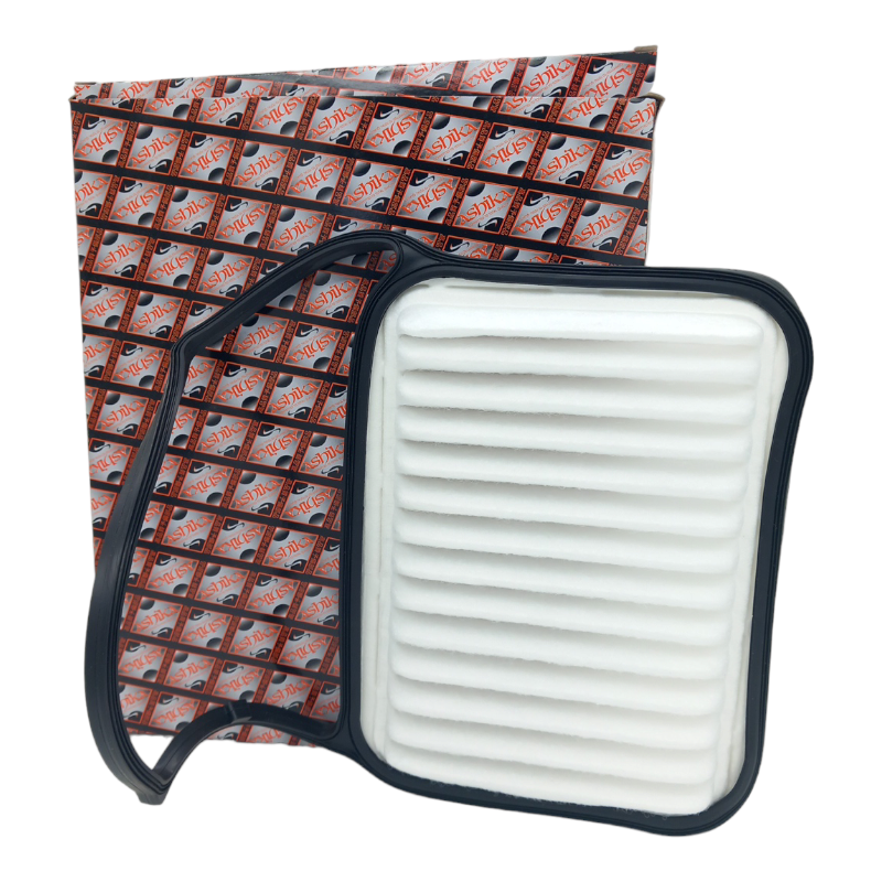 Filtro Aria Motore Ashika Codice.20-06-616 BIBA-RICAMBI