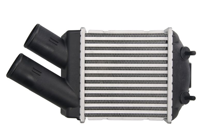 Intercooler Compatibile Per Dacia Logan (LS_) Logan MCV Sandero | Renault Logan I Megane I Megane Scenic I BIBA-RICAMBI