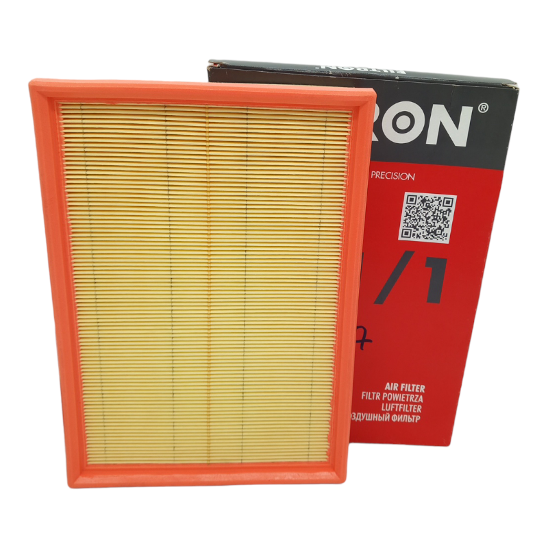 Filtro Aria Motore Filtron Codice.AP 051/1 BIBA-RICAMBI