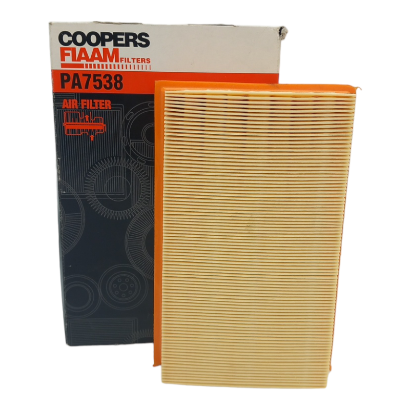 Filtro Aria Motore Fiaam Filters Codice.PA7538 BIBA-RICAMBI