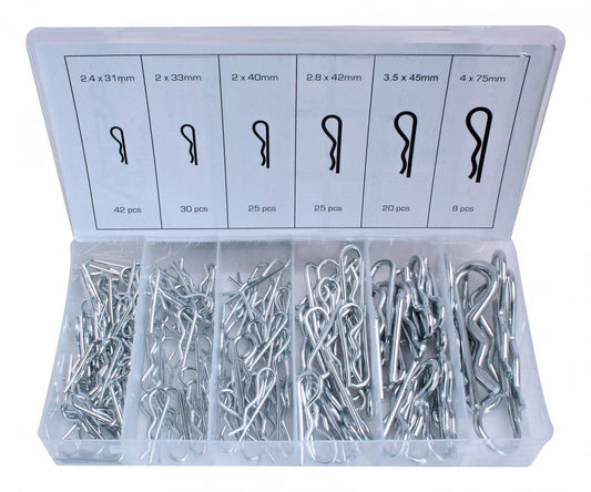 set di spine elastiche da 2 a 4 mm ASTA
