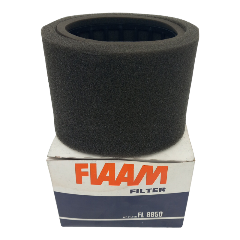 Filtro Aria Motore Fiaam Codice.FL6650 BIBA-RICAMBI