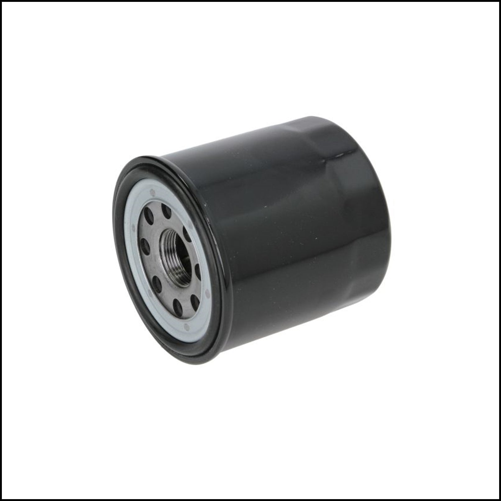 A. Filtro Olio Motore art.7175 BIBA-RICAMBI