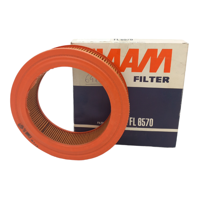 Filtro Aria Motore Fiaam Codice.FL6570 BIBA-RICAMBI