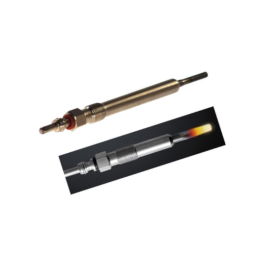 Candeletta Diesel (5V) Compatibile Per VW EOS (1F7) 2.0 TDI 103KW | Motore. BMM BIBA-RICAMBI